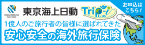 trip-i logo